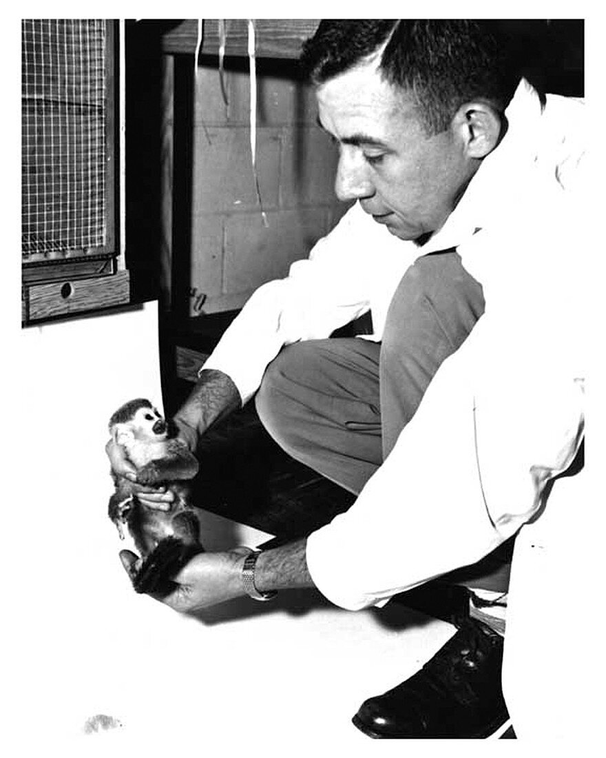 Gordo,US space monkey,1950s