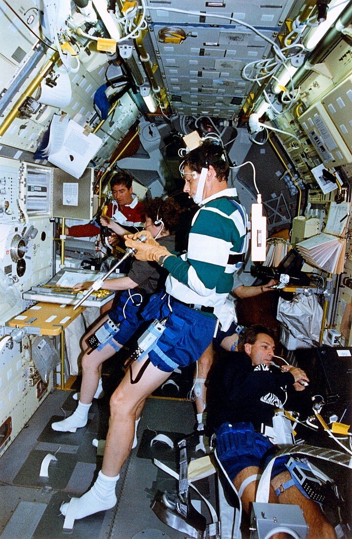 Scene inside the Life and Microgravity Spacelab