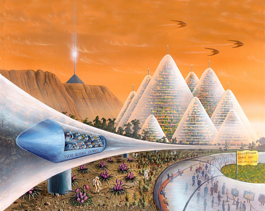 Martian colony art exhibition,artwork