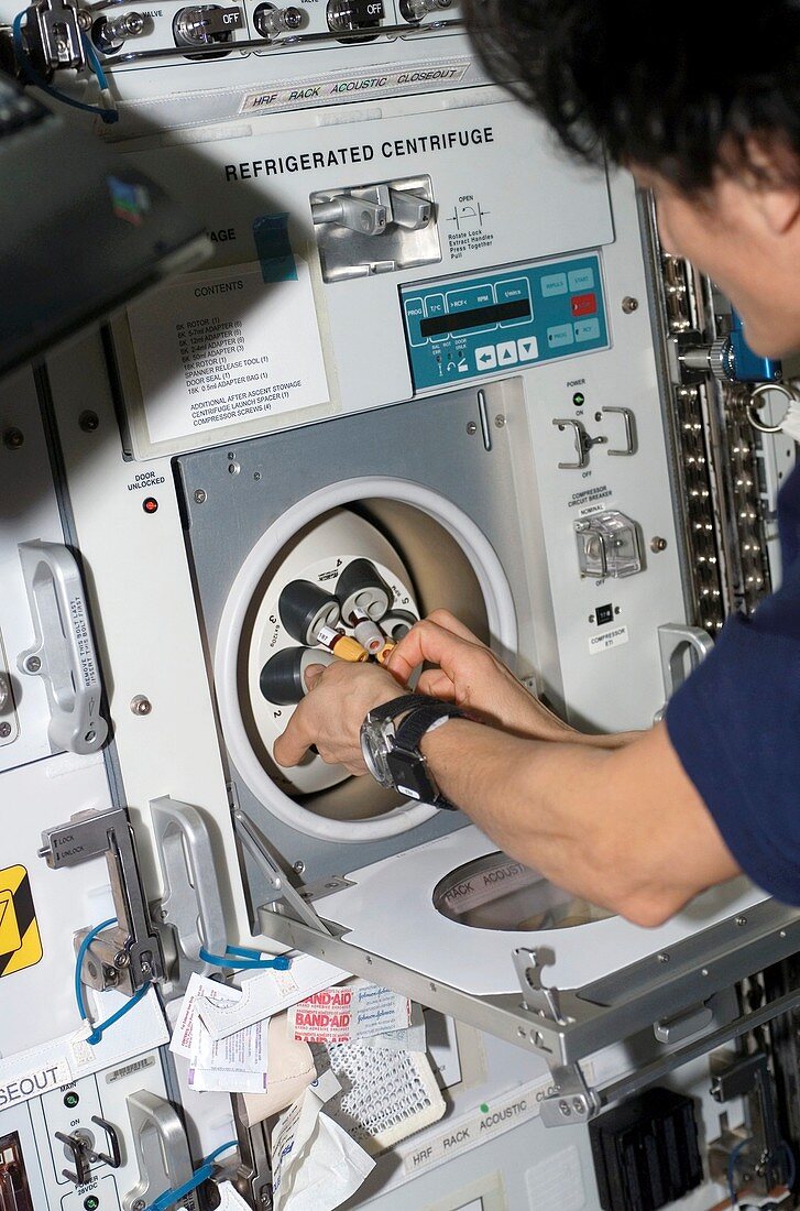 Nutrition experiment on the ISS,June 2007