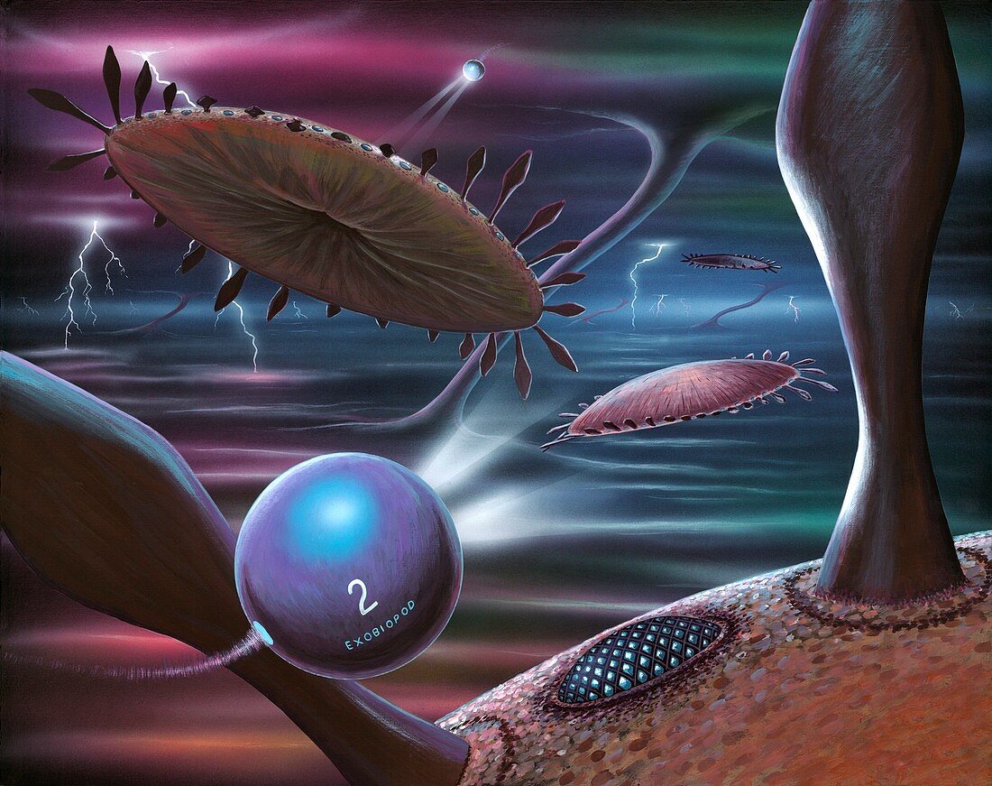 Alien life forms,artwork