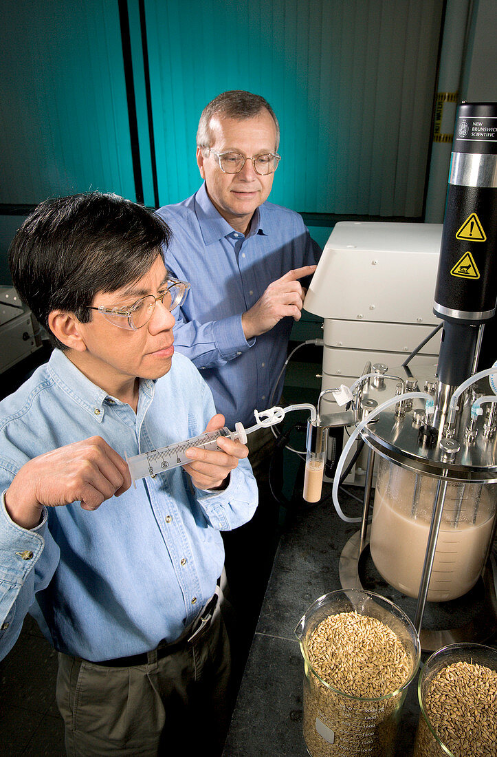 Biofuel research,ethanol from barley