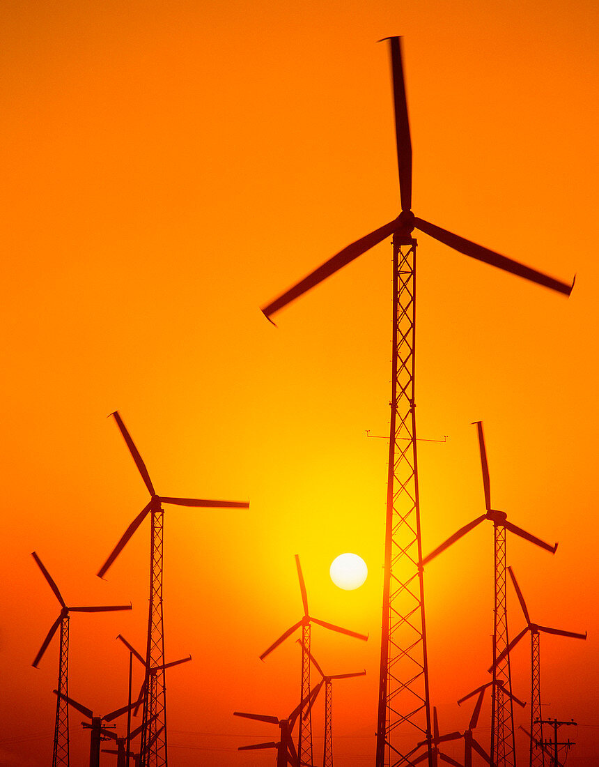 Wind turbines in California at sunset