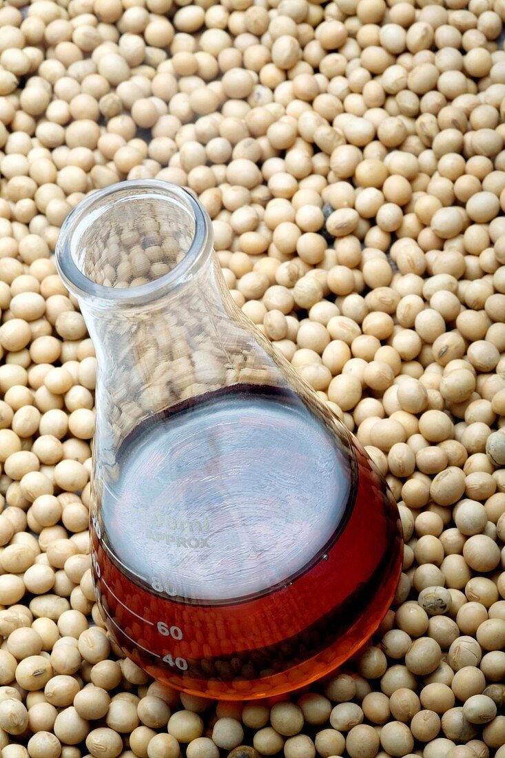Using soy to produce biofuels