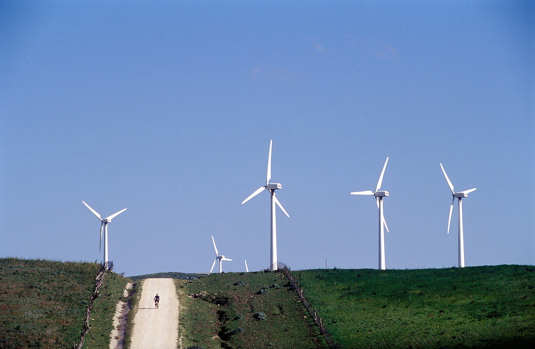 Wind farm