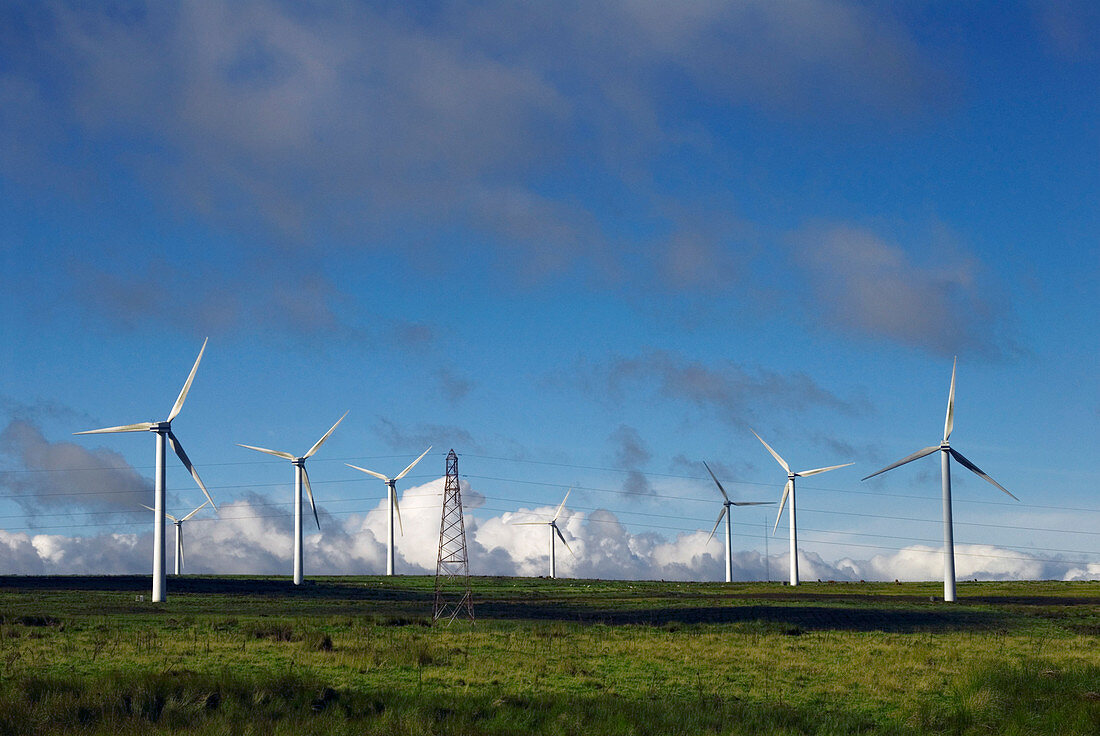 Wind turbines and pylon