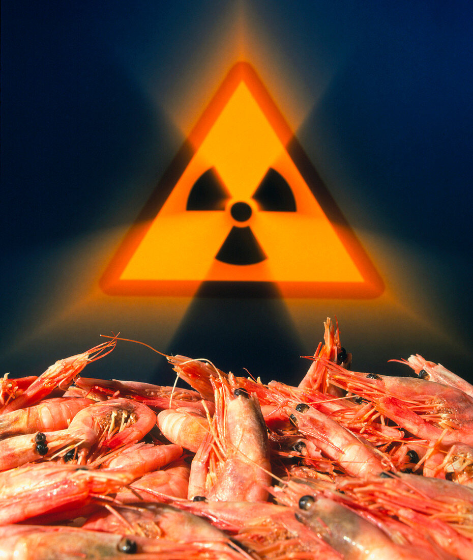 Irradiated prawns with radiation symbol depicted