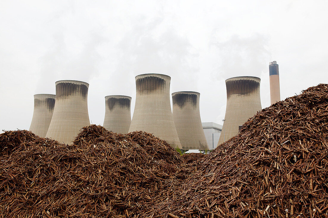 Wood fuel for power station