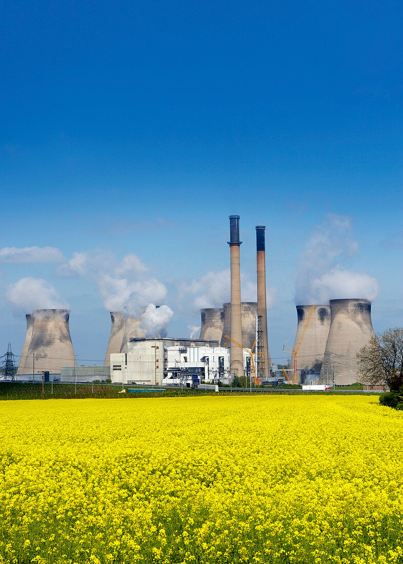 Ferrybridge power station and rape field