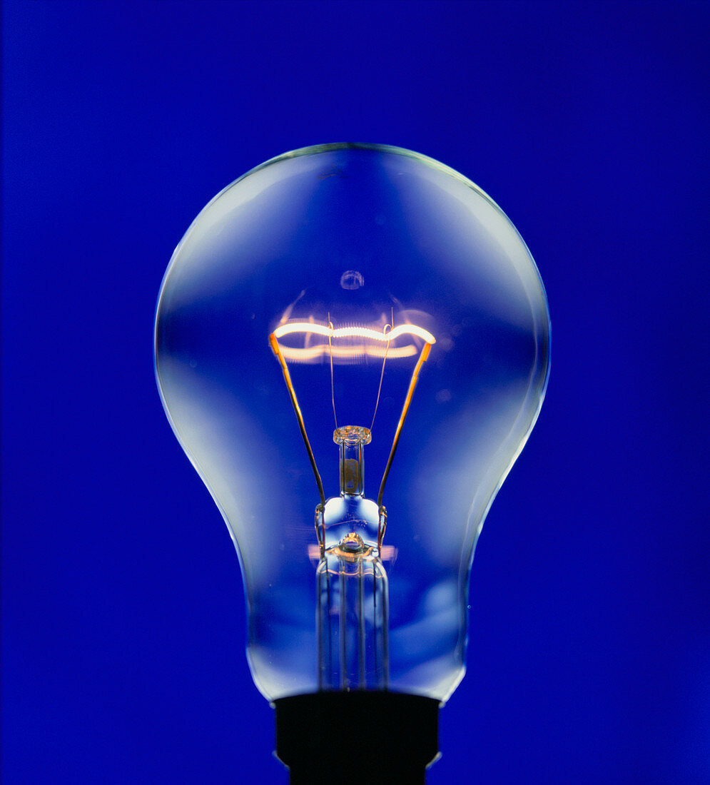 Electric light bulb