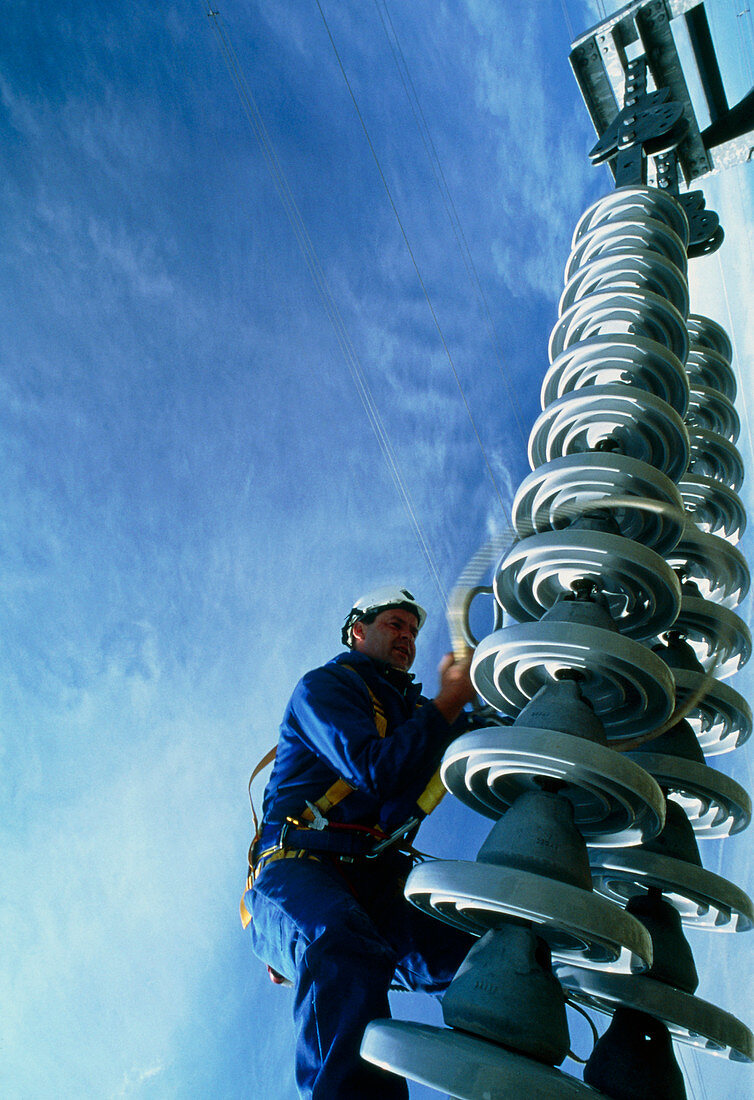 Technician servicing a power line insulator