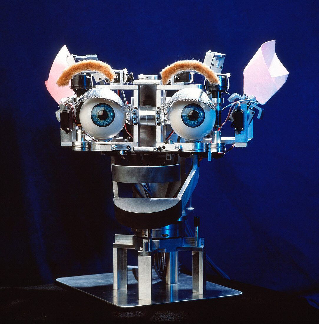Kismet robot