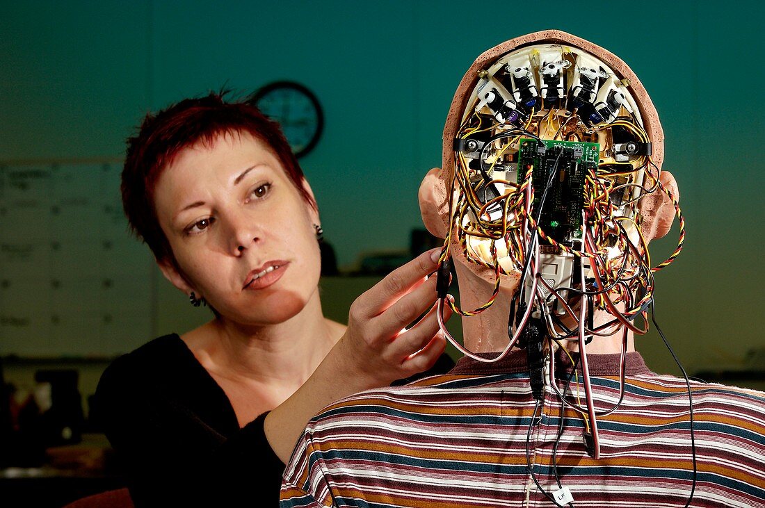 Humanoid robot head