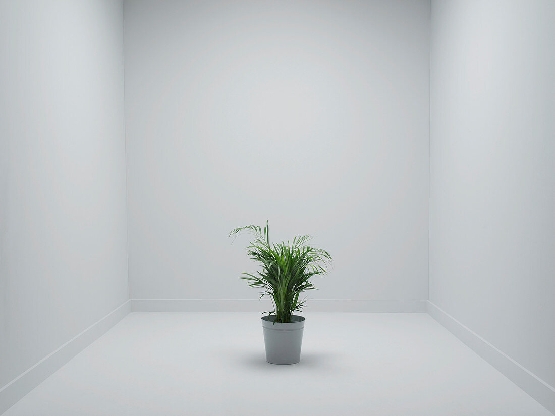 Office environment,conceptual image