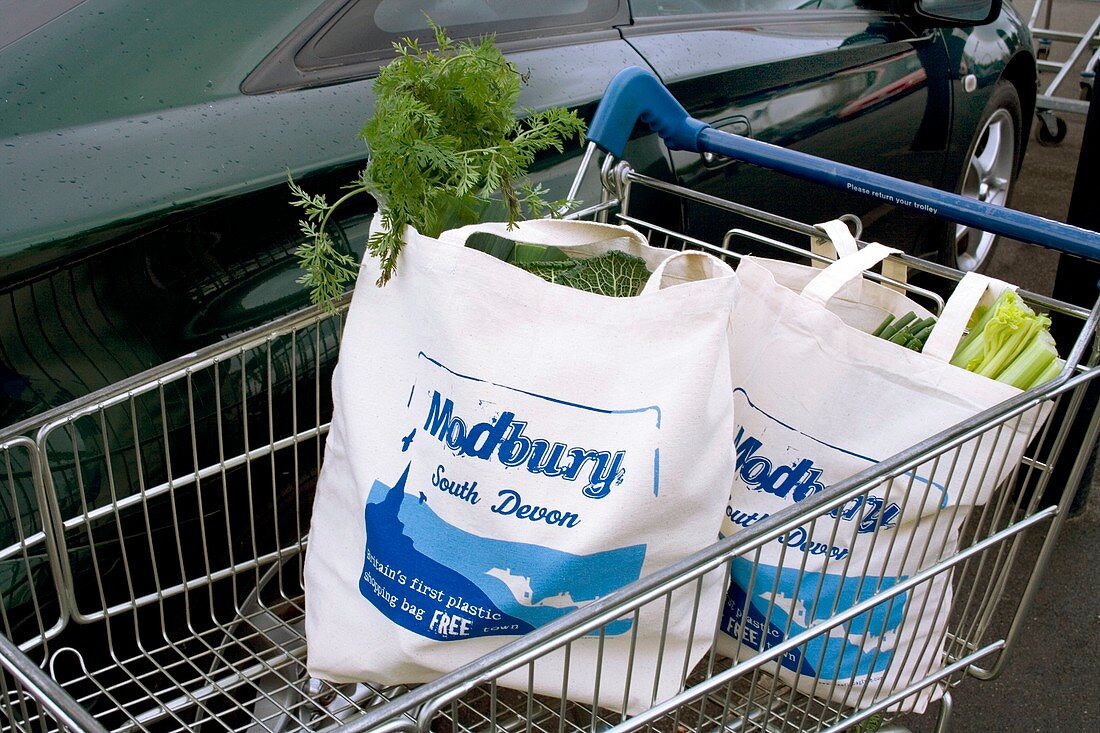 Modbury reusable shopping bags