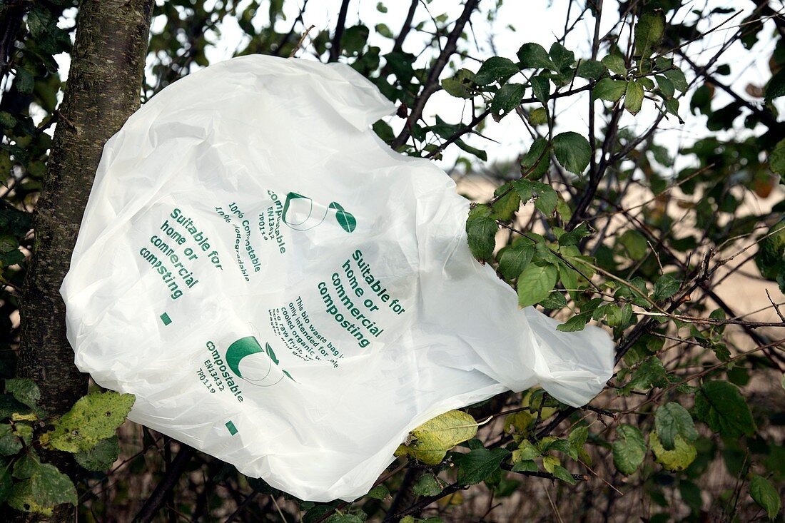Biodegradable carrier bag