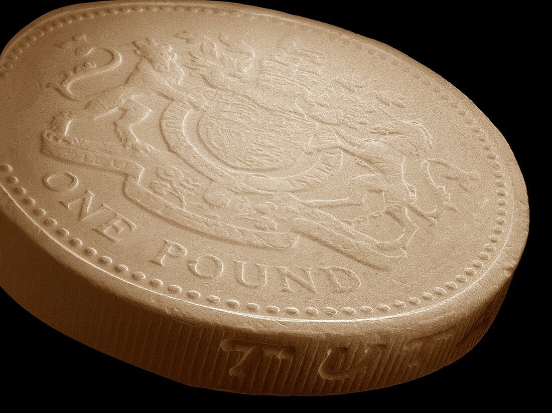 One pound coin,SEM