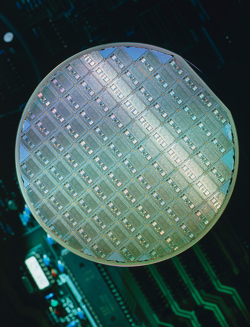 View of a semiconductor wafer and its chips