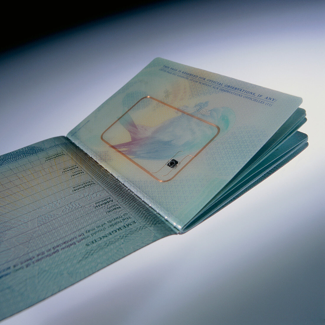 Biometric passport chip
