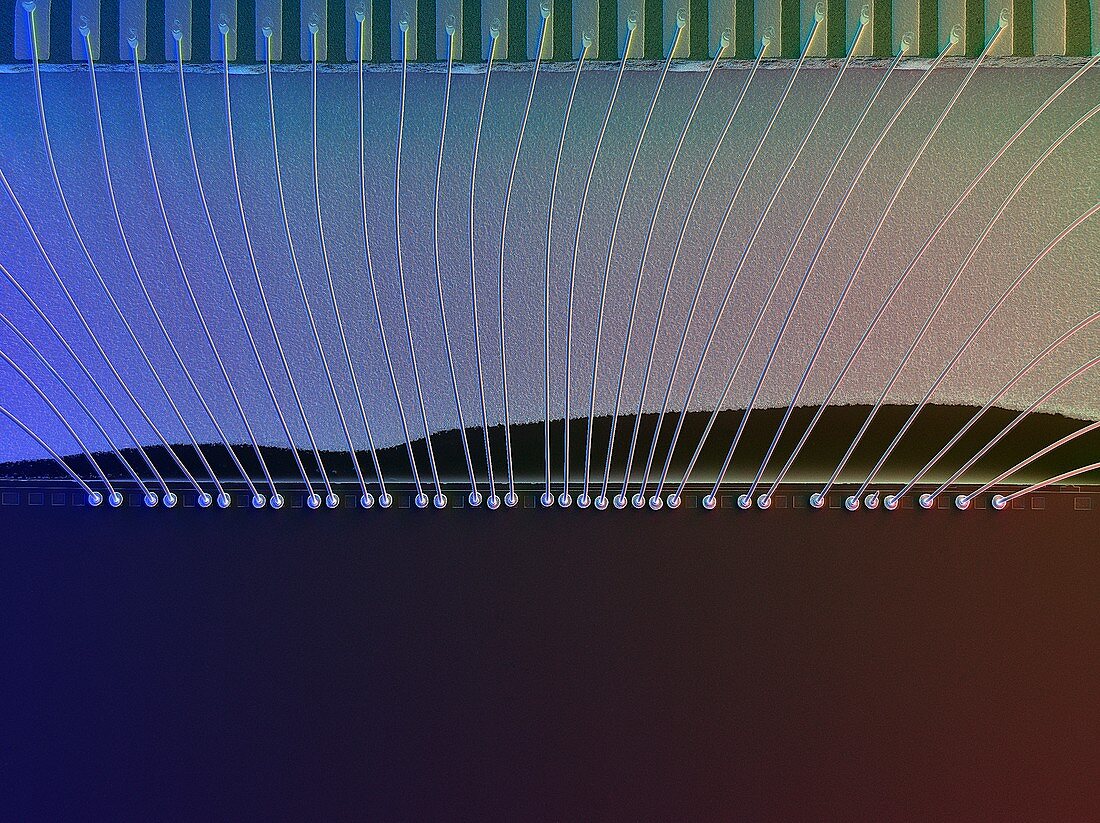 Microchip connection wires,SEM