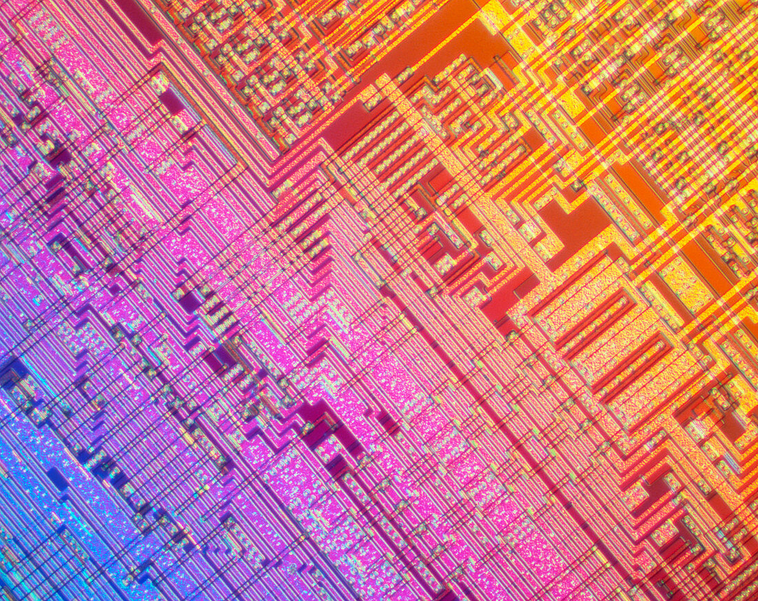 Integrated microchip