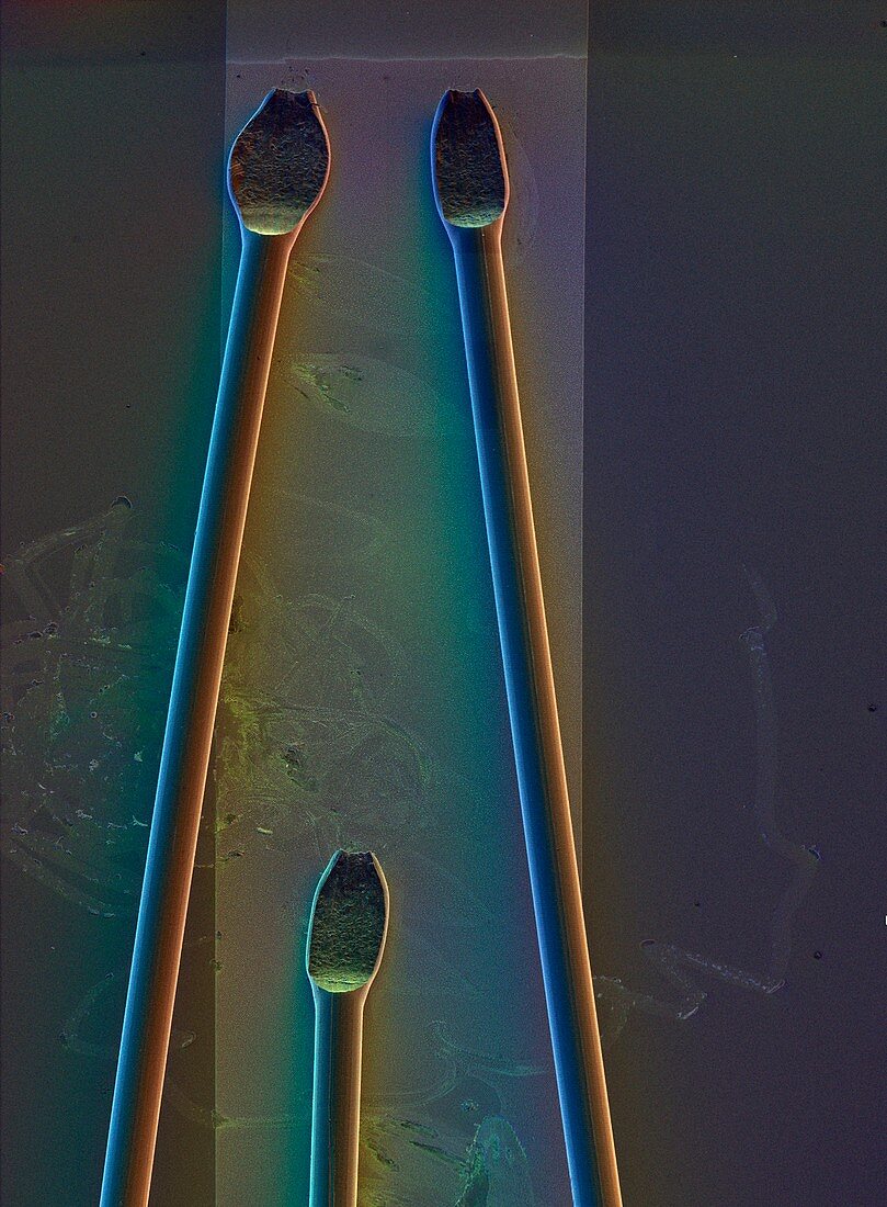 Coloured SEM of micro-wires bonded on silicon chip