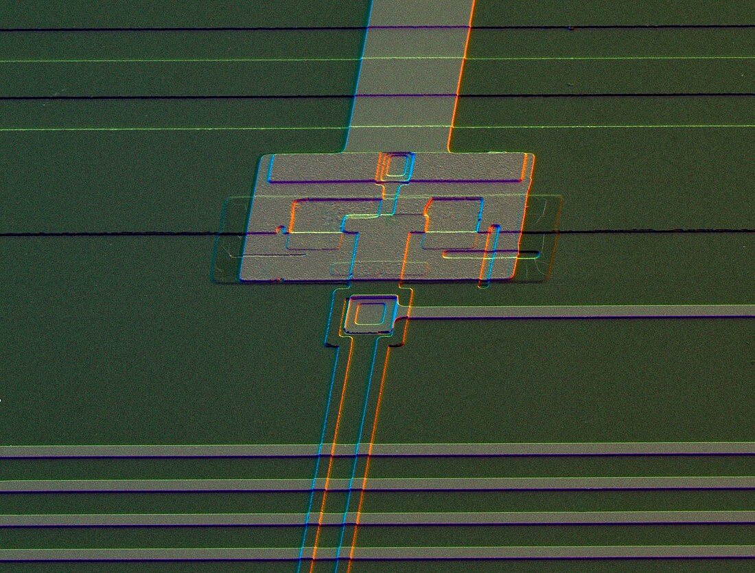 Coloured SEM surface of a SQUID integrated circuit