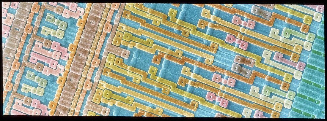 Coloured SEM of surface of an EPROM silicon chip