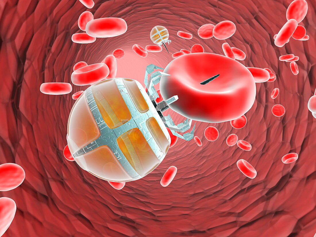 Nanorobot in the bloodstream