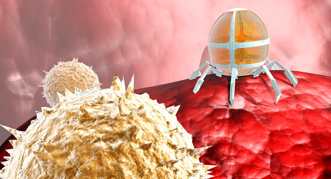 Nanorobot with blood cells
