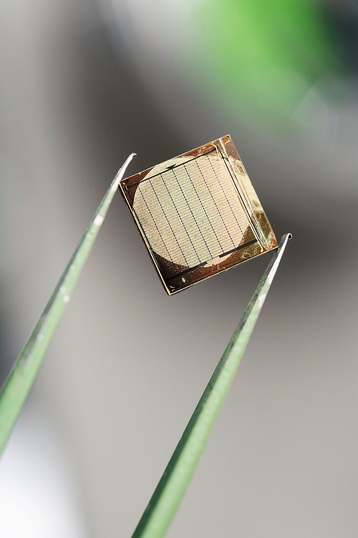 Silicon nanowire device,held by tweezers