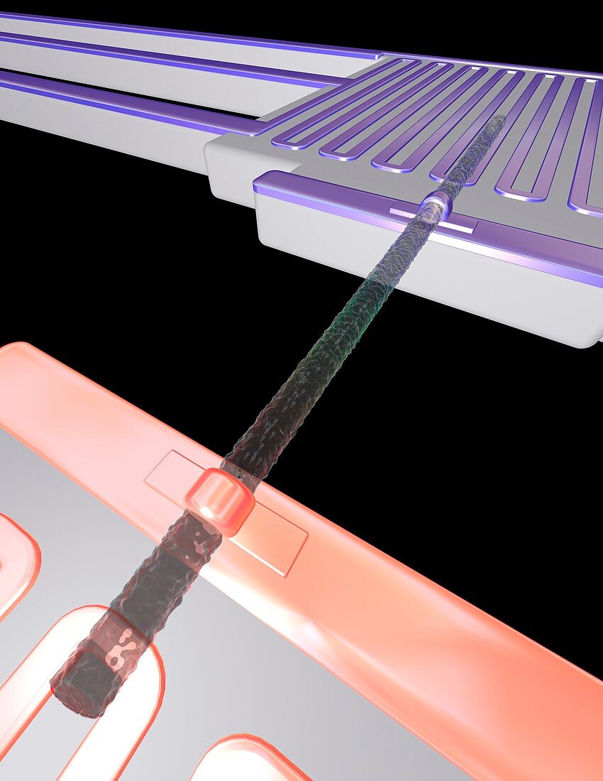 Thermoelectric silicon nanowire,artwork