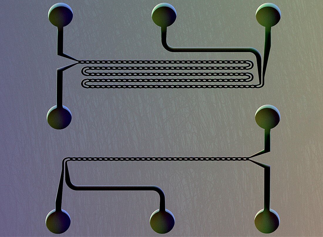 MEMS microfluidic chip