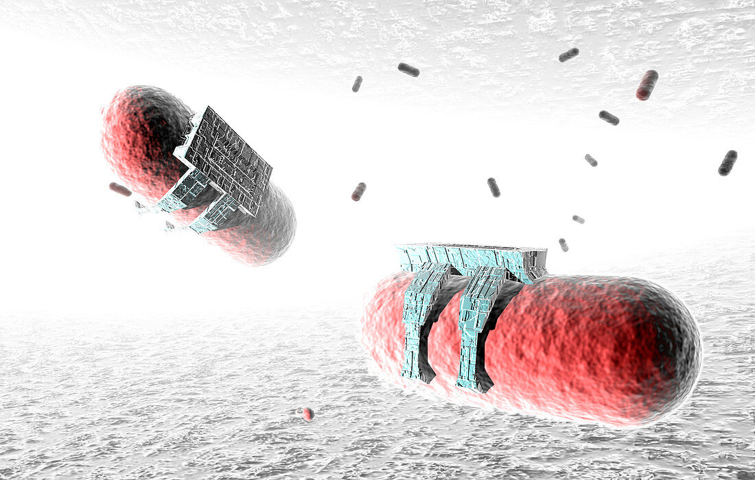 Nanorobots killing bacteria