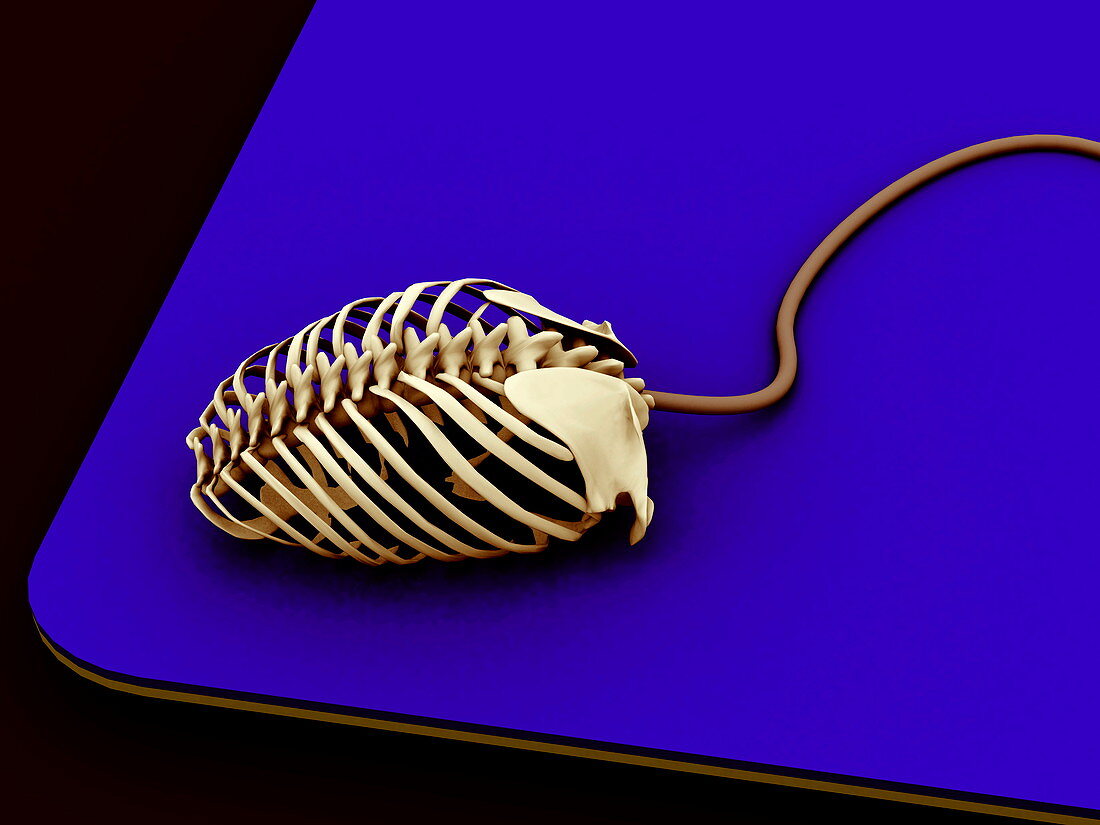 Computer mouse skeleton,computer artwork