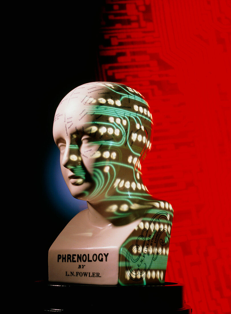 Phrenology head with circuits projected