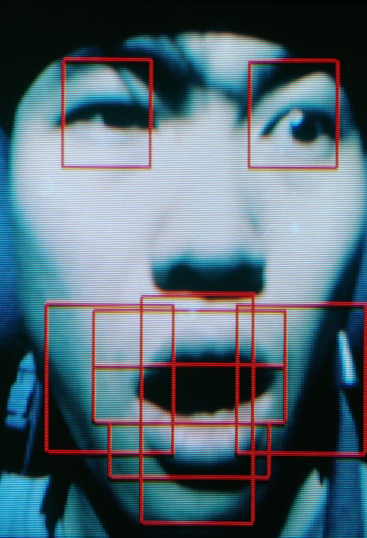 Face mapping for a Japanese opera simulation