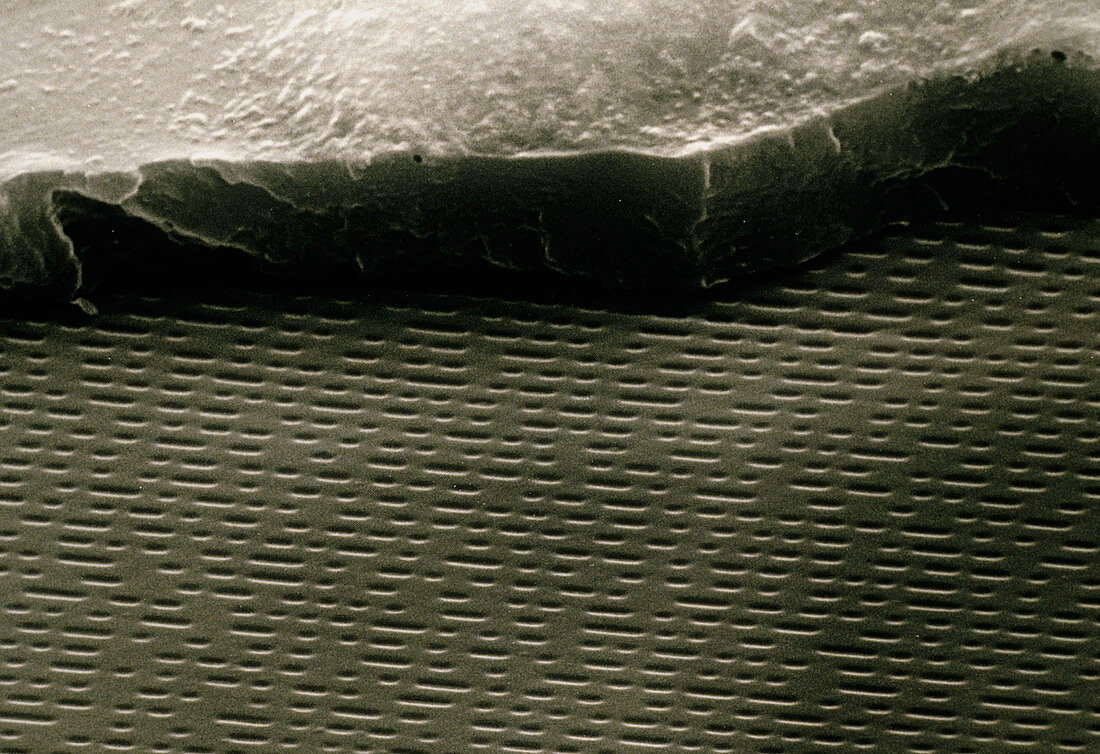 SEM of cracked CD showing musical layer