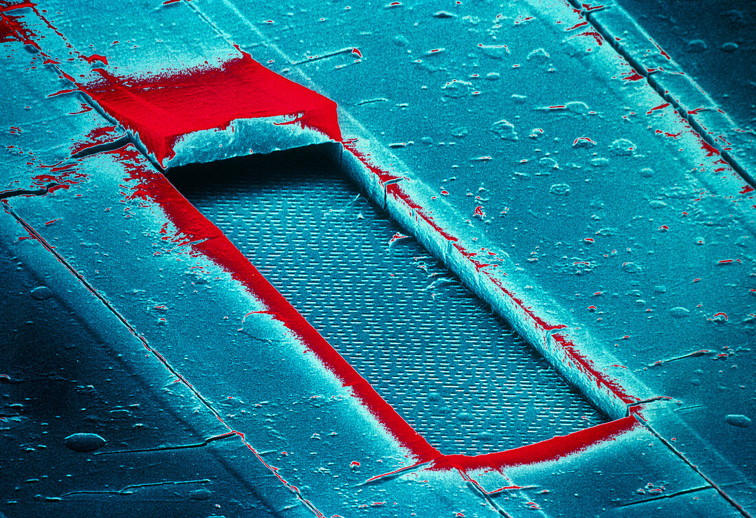 False-col SEM of cracked surface of compact disc
