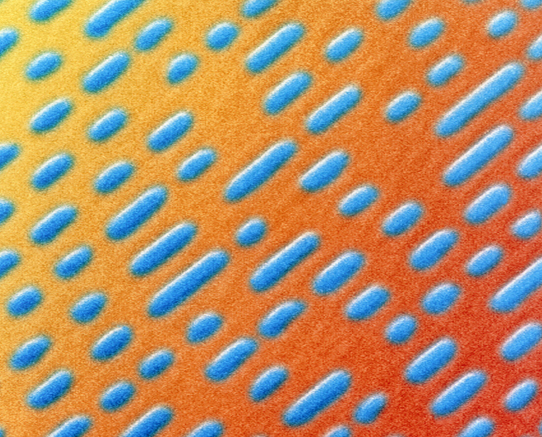 Coloured SEM of compact disc surface