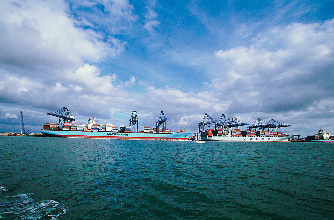 Ships in a dock