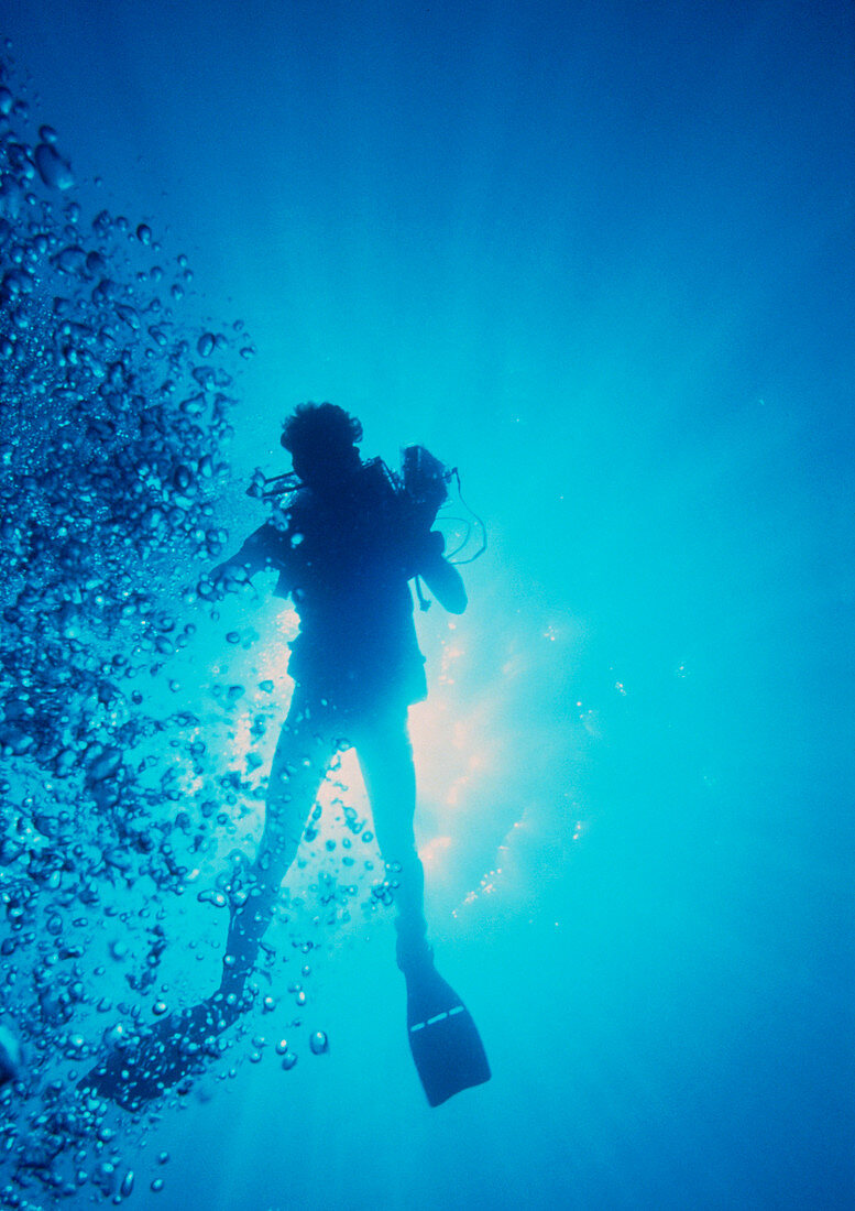 Scuba diver with camera in the Red Sea