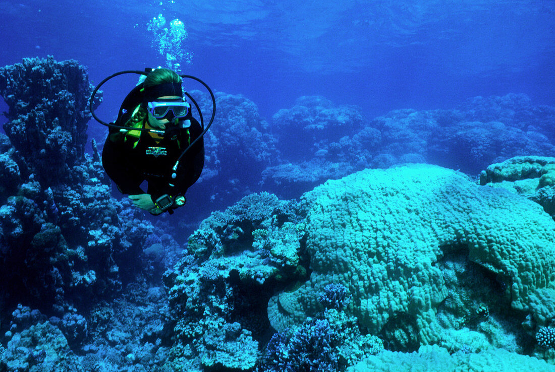 Scuba diver alongside a coral reef