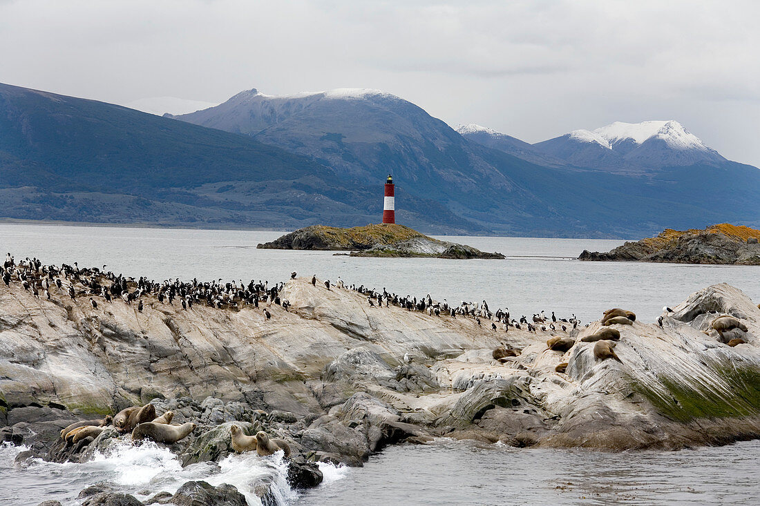 Lighthouse on Tierra del Fuego coastline