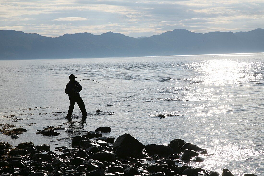 Fisherman catching a salmon