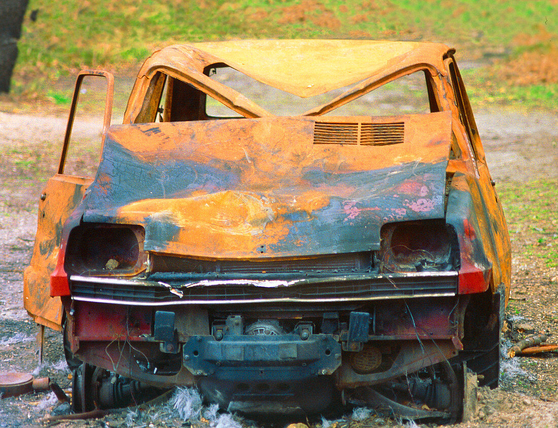 Rusted and abandoned car