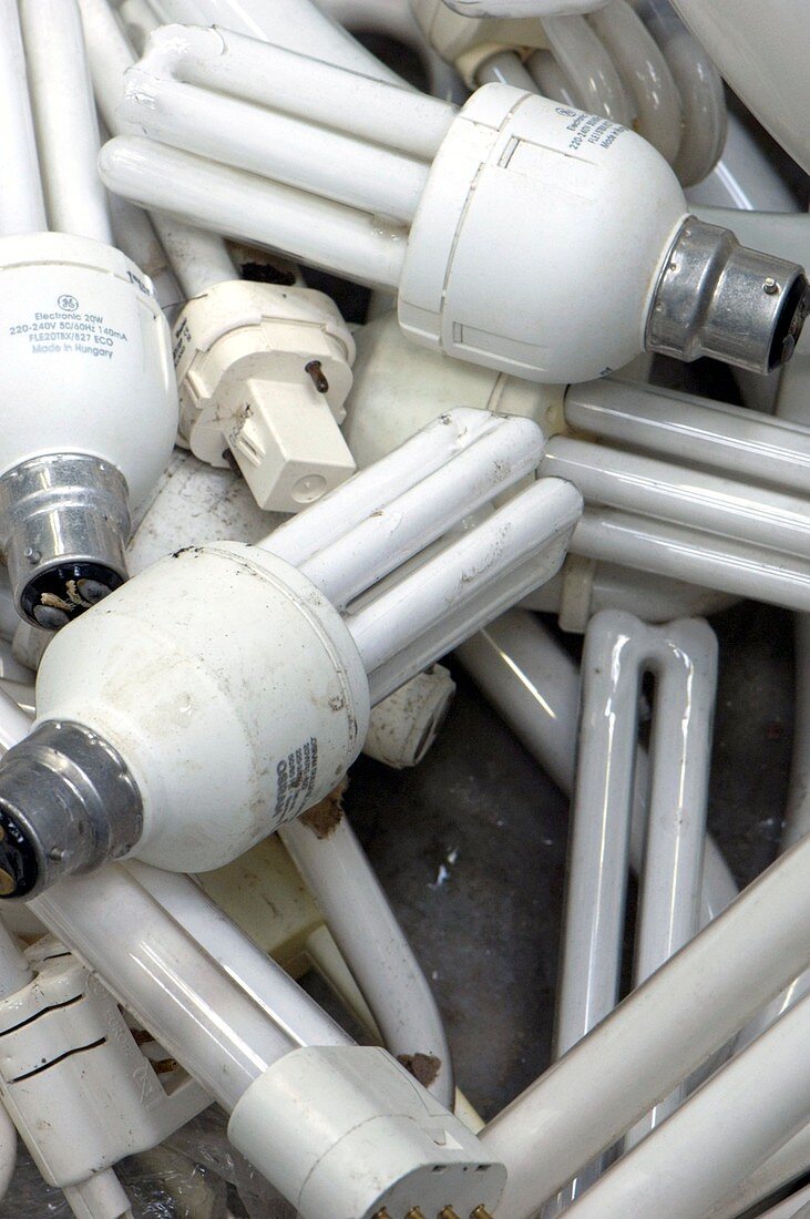 Energy-saving light bulbs for recycling