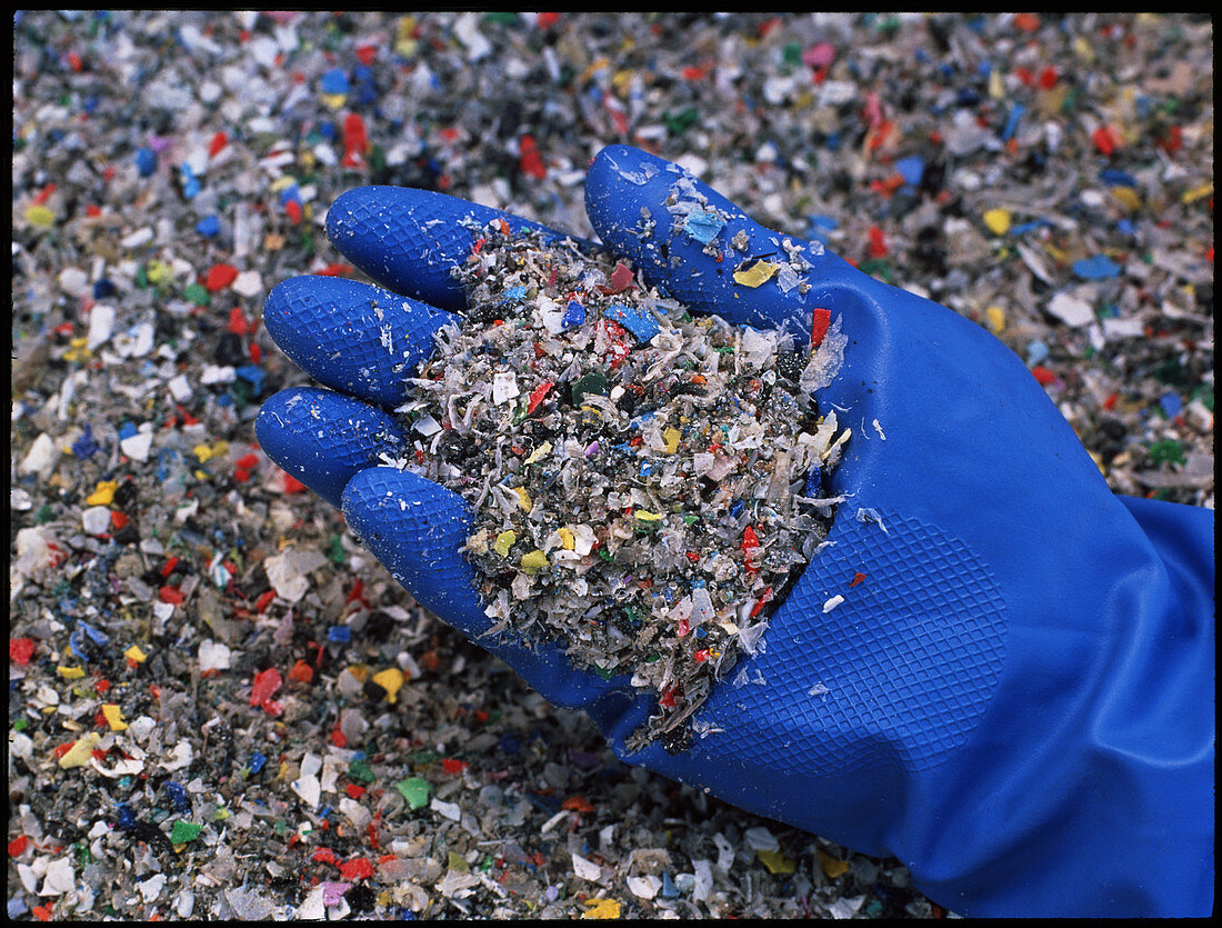 Shredded plastic waste at recycling plant