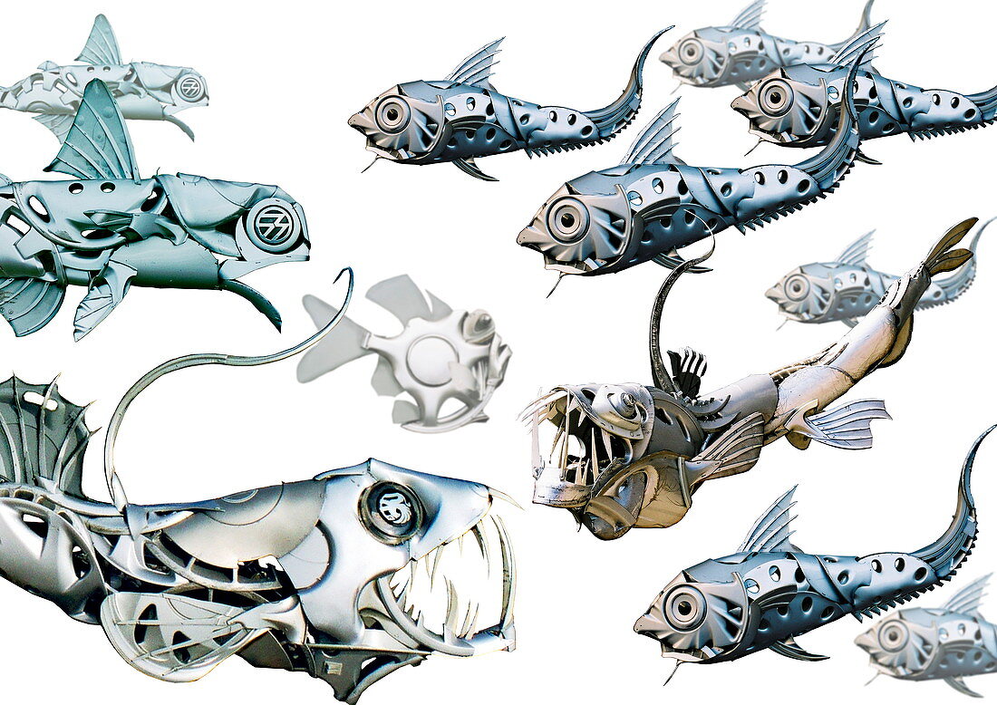 Fish sculptures