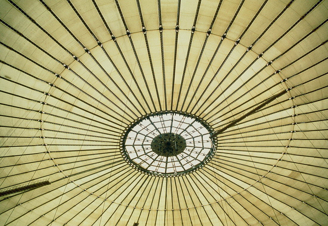 Interior view of the roof of the Millennium Dome